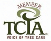 A member of the tree care industry association