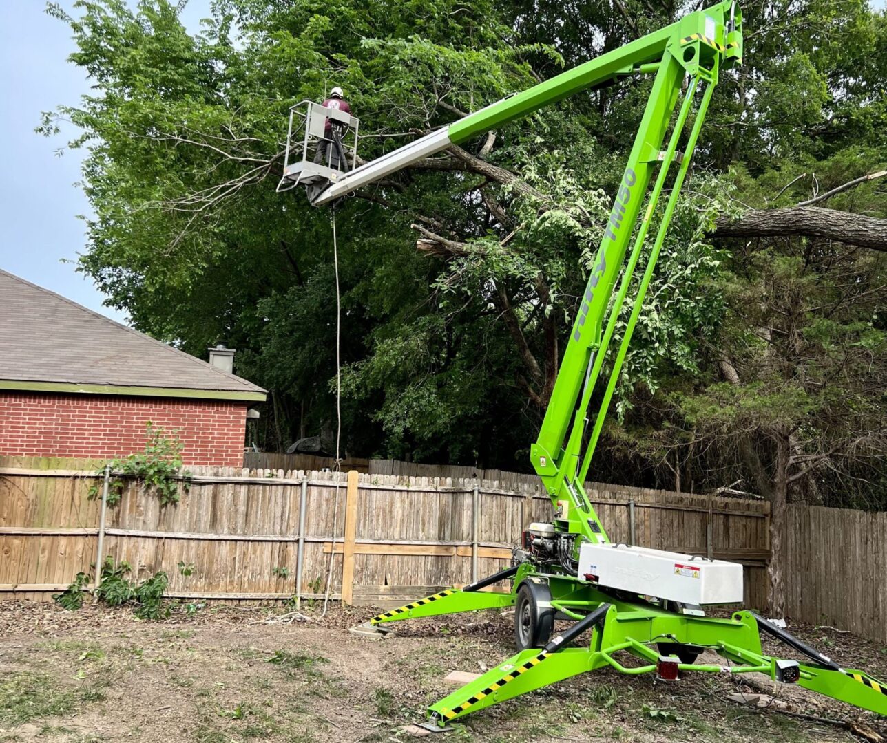 A green crane is in the middle of a yard.